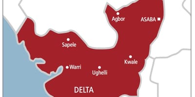 Delta nigeria peta